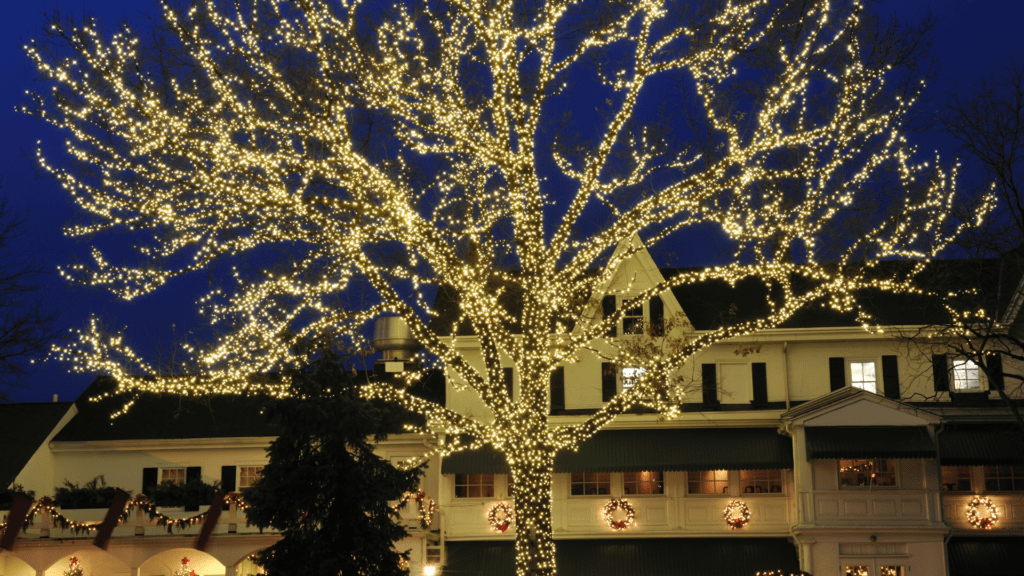 holiday lighting tree